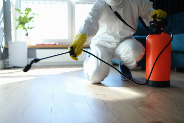 Reliable Odor Removal contractor in Hereford, CO by Trauma Clean Pros